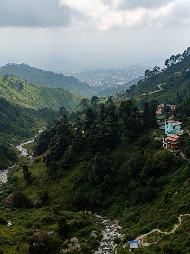 Palampur The Green Valley Of Himachal Pradesh People Places