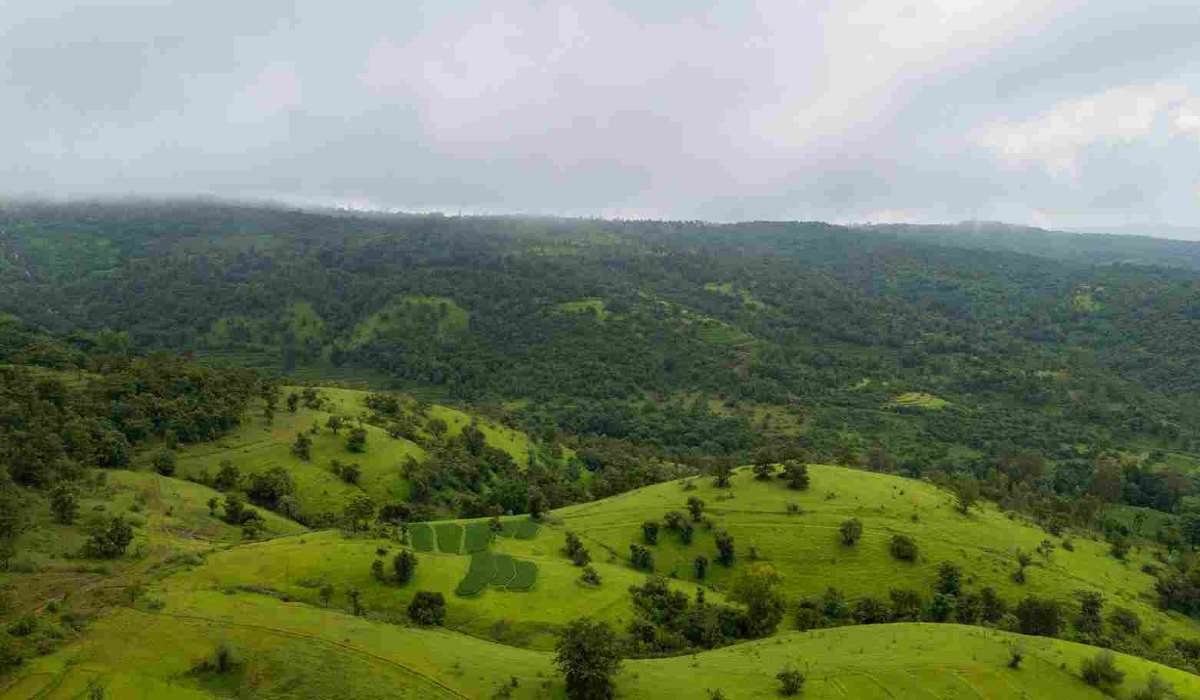 Chandoli National Park