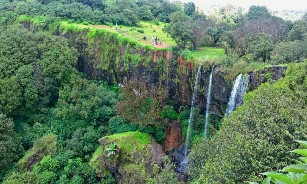 Mhadei Wildlife Sanctuary