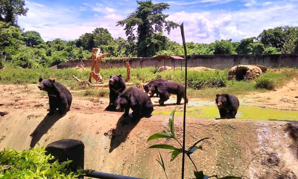 Dimapur Zoological Park