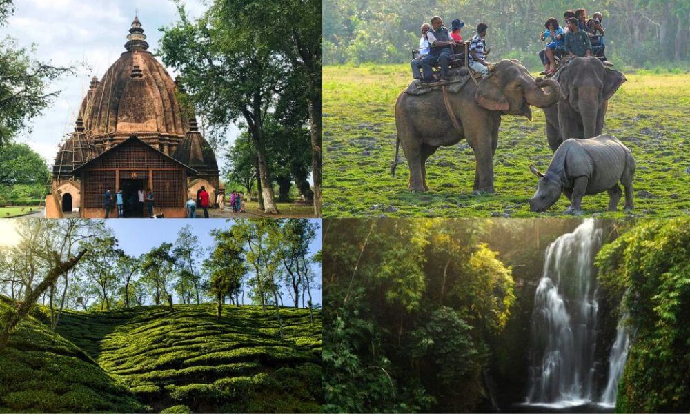 assam tourism site