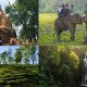 Golaghat- Assam, 10 Best Famous Places You Must Visit!