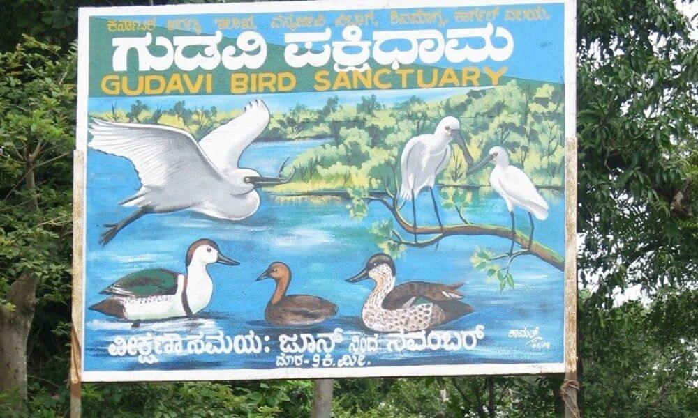 About Gudavi Bird Sanctuary