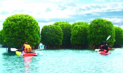 Kannur- Kerala, List Of Famous Tourist Places To Visit!