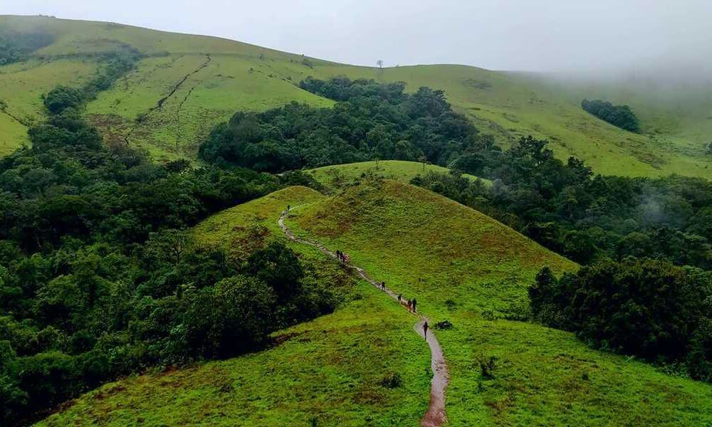 About Kodachadri Hills