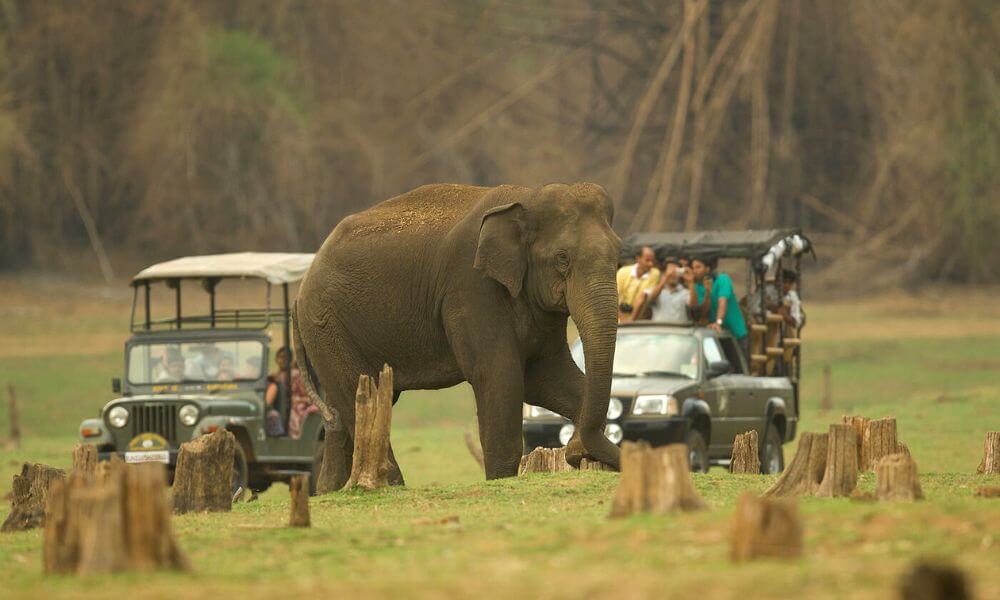 Muthanga Wildlife Sanctuary