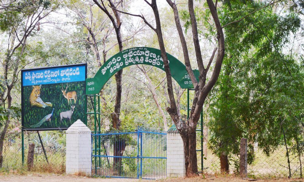 About Pocharam Sanctuary