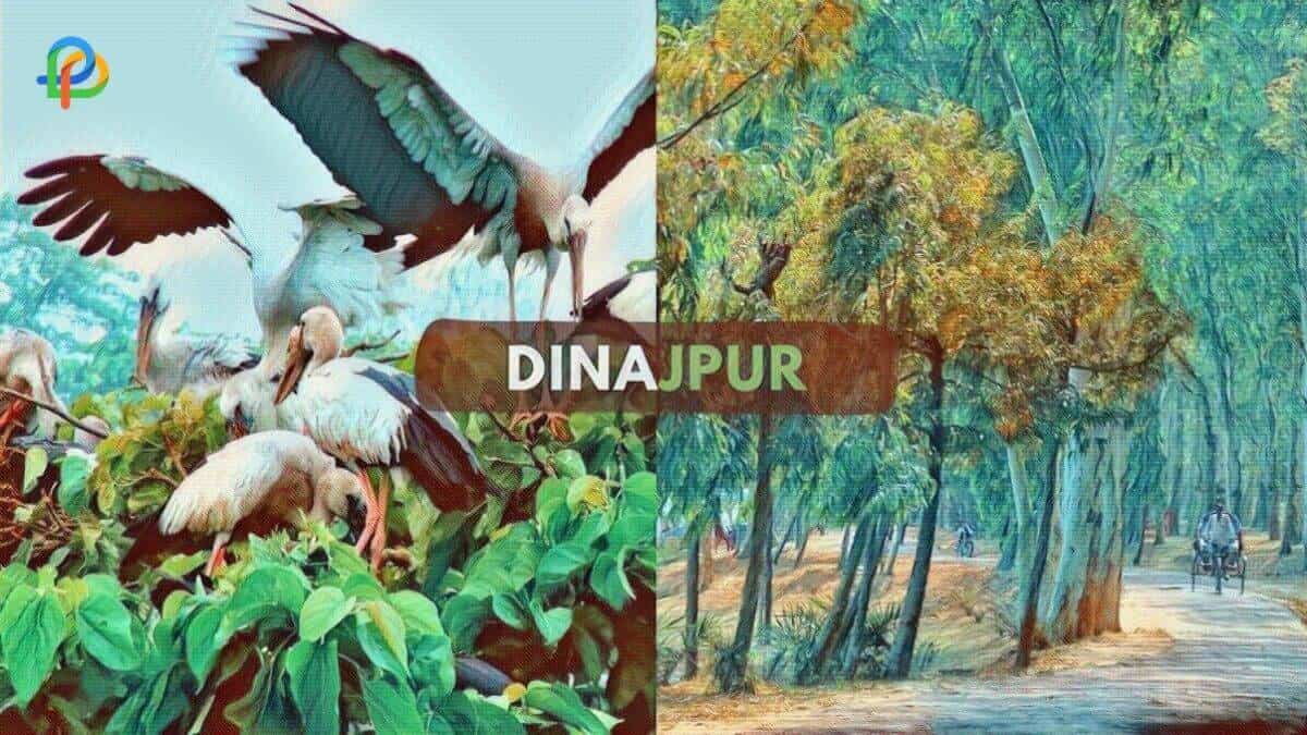 Tousist attractions in Dinajpur