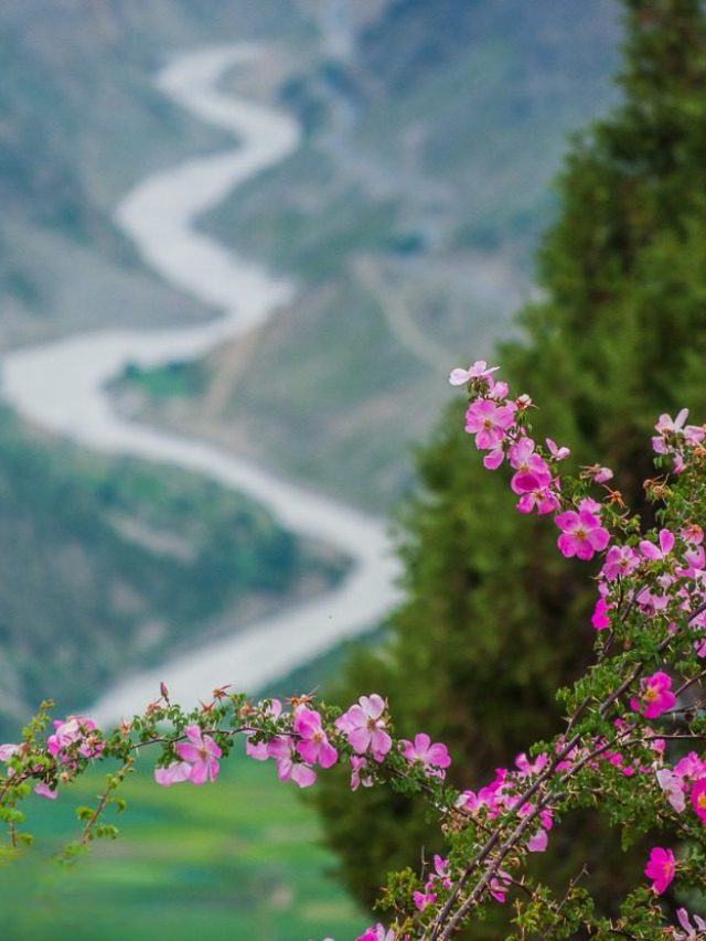 A Voyage To Keylong – Bucket List Places To Visit