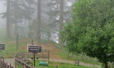 Dhanaulti_Eco_park_20180401121648