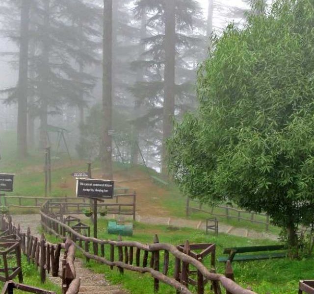 Dhanaulti_Eco_park_20180401121648