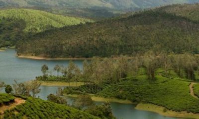 Yelagiri Tourism, 10 Best Places To Explore!