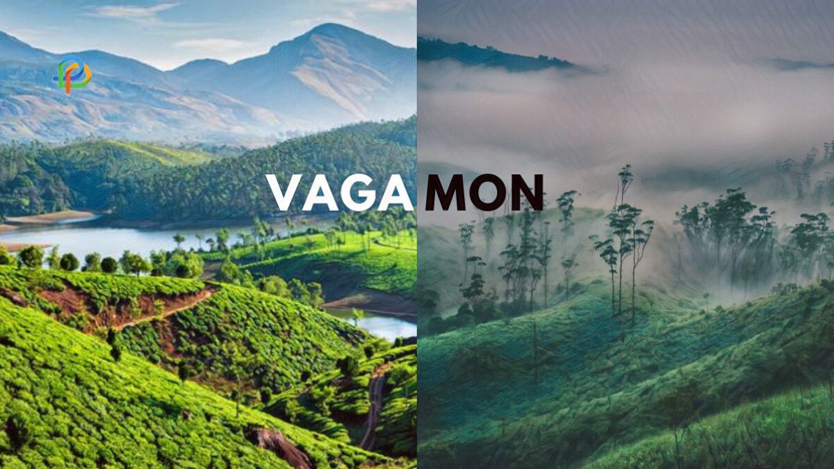 A Guide To Vagamon's Best Attractions That You Must Visit!