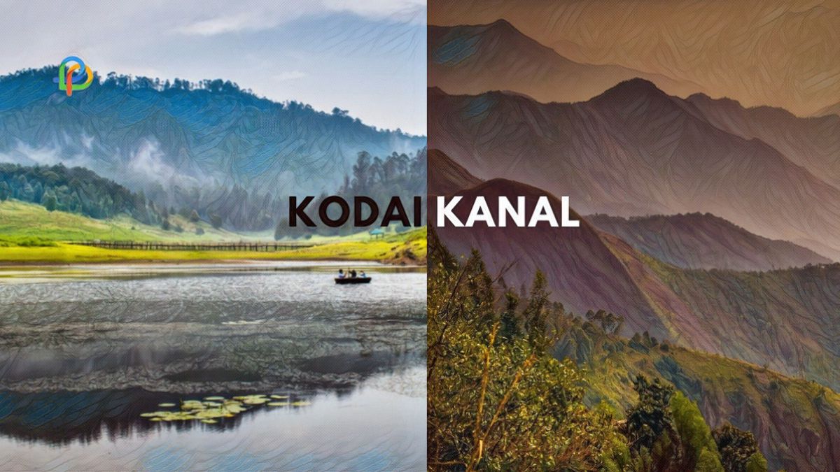 A Paradise On Earth, Kodaikanal Best Tourist Spots!