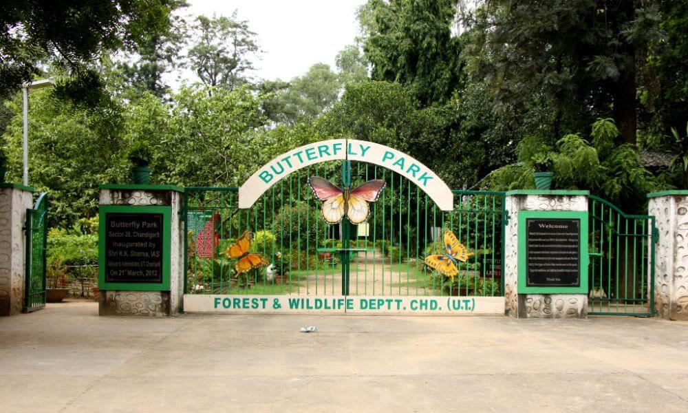 About Butterfly Park