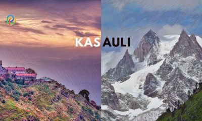 Destinations To Visit & Things To Do In Kasauli Himachal!