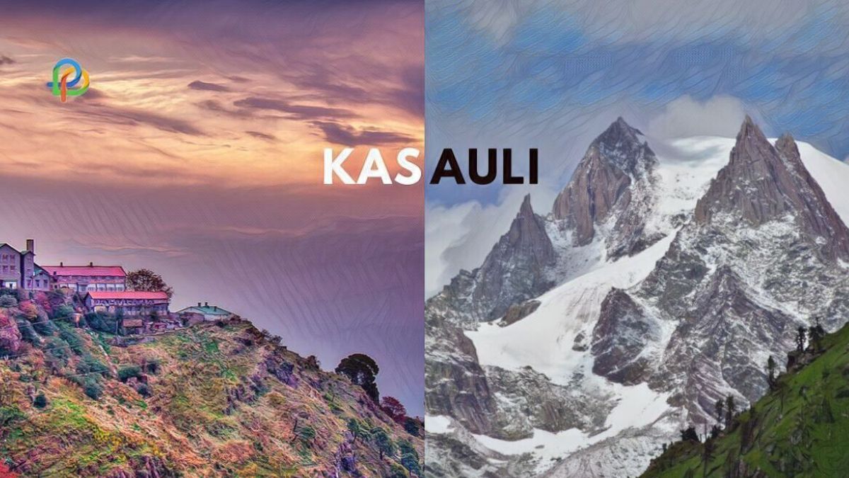 Destinations To Visit & Things To Do In Kasauli Himachal!