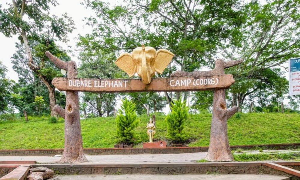 About Dubare Reserve Forest and Elephant Camp