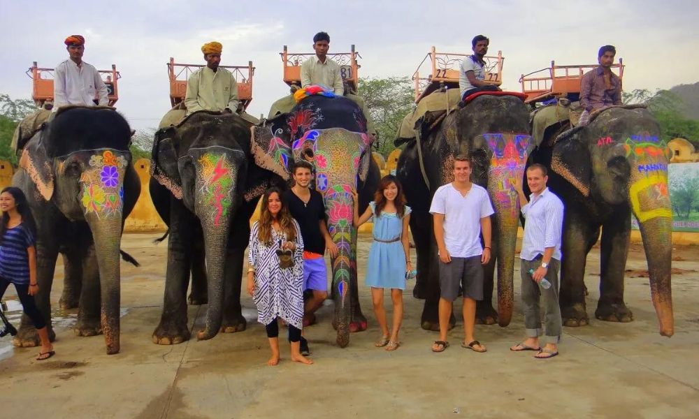 Elefantastic Elephant Farm