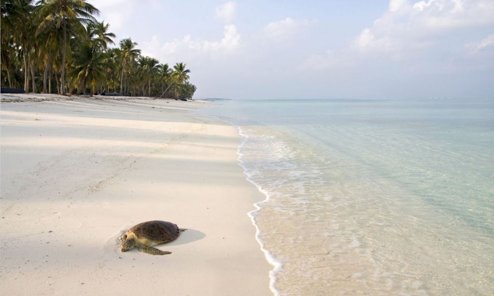 About Lakshadweep