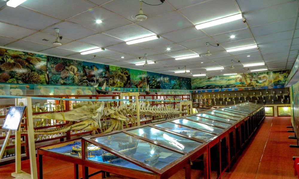 Marine Museum, Kavaratti