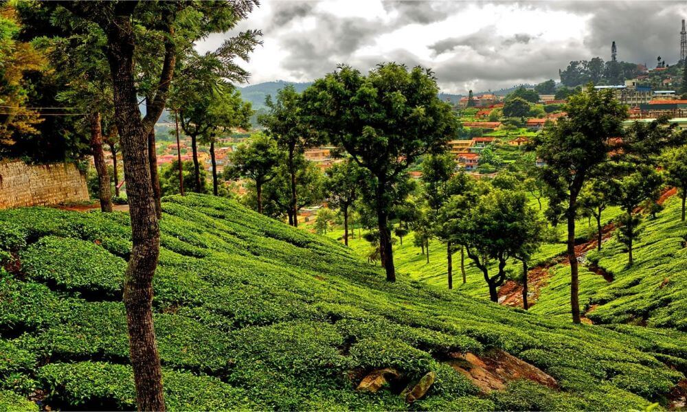 About Ooty
