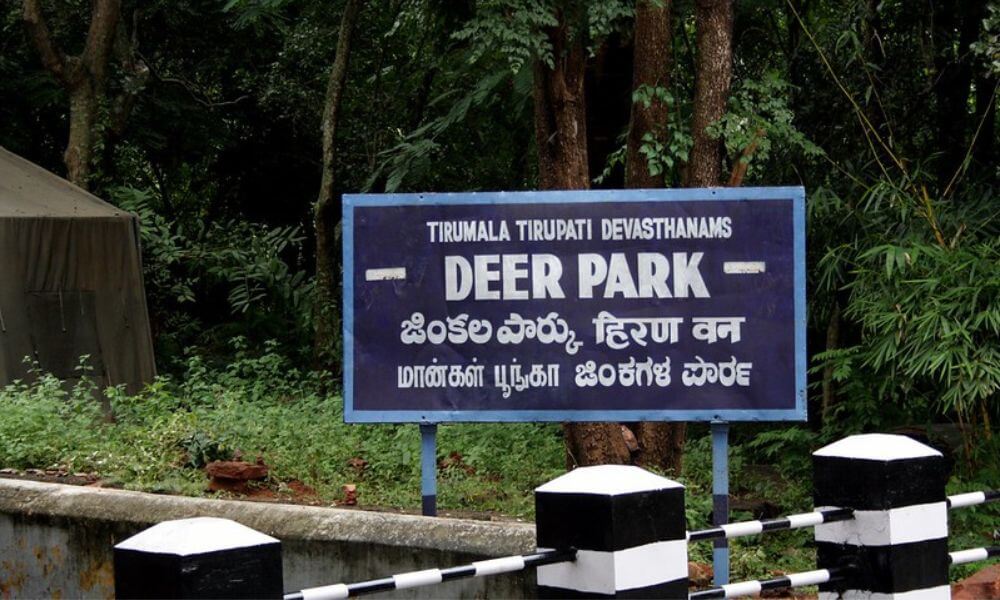 About Tirumala Deer Park Reserve