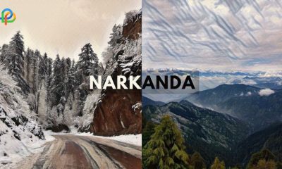To The Top - Best Places To Visit In Narkanda