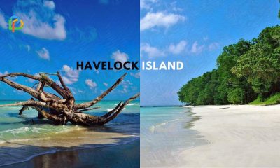 Top Attractions To Visit In Andaman's Havelock Island