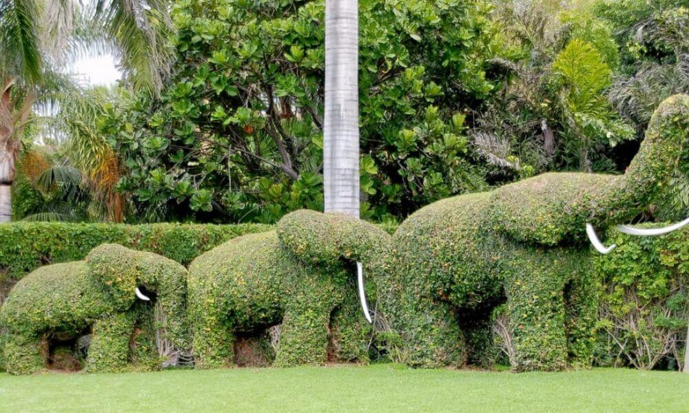 About Topiary Park