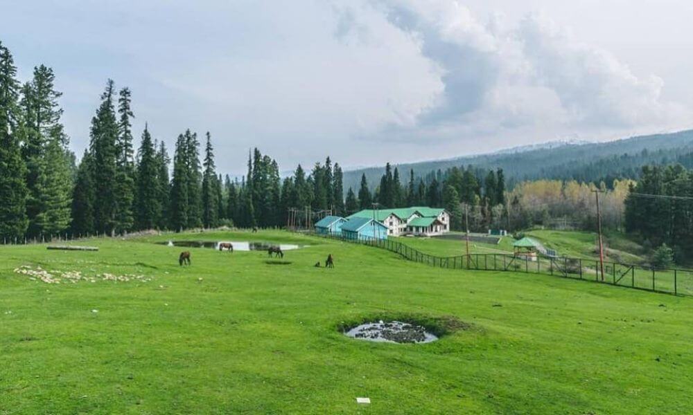 About Yusmarg