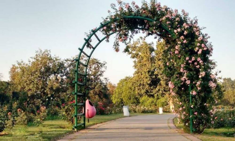 About Zakir Hussain Rose Garden