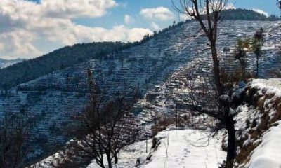 Best Places To Visit In Mukteshwar For A Wonderful Vacation!