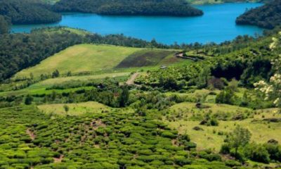 Top Tourist Sights In Ooty 'The Queen Of Hill Stations'