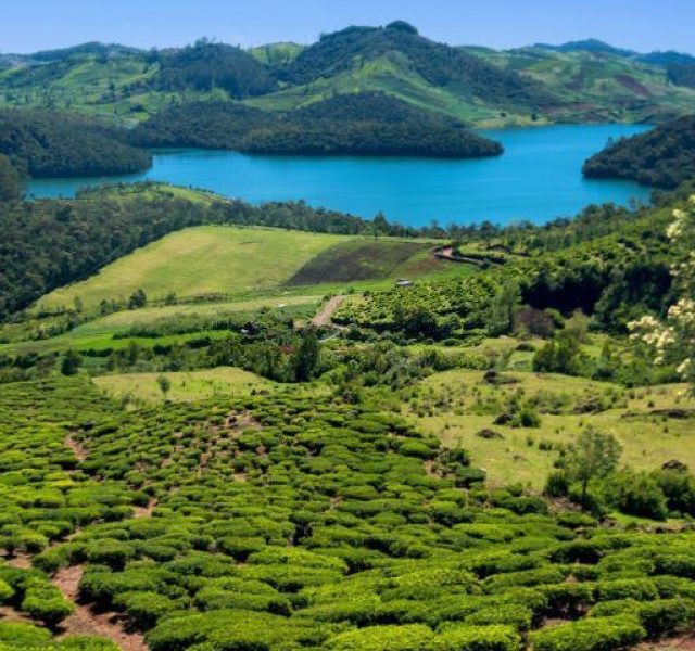 Top Tourist Sights In Ooty 'The Queen Of Hill Stations'