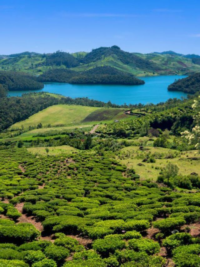 Top Tourist Sights In Ooty 'The Queen Of Hill Stations'