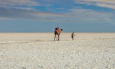 Places to visit in Rann of Kutch