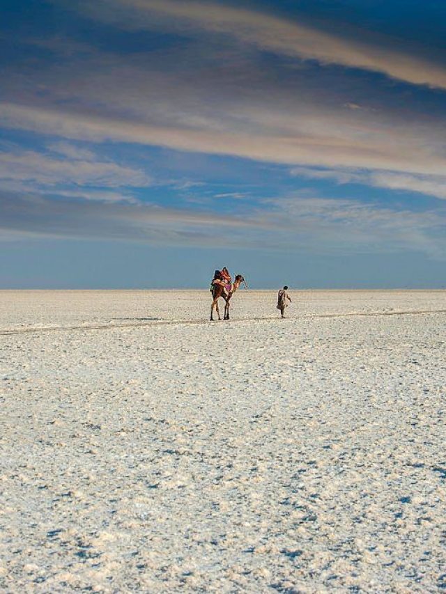 Explore The White Desert: Places To Visit In Rann Of Kutch!