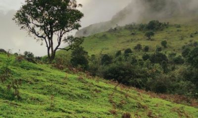 Top 12 Tourist Spots In Madikeri, Coorg!