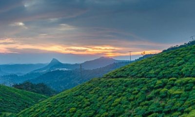 Best Places To Visit In Munnar With Friends