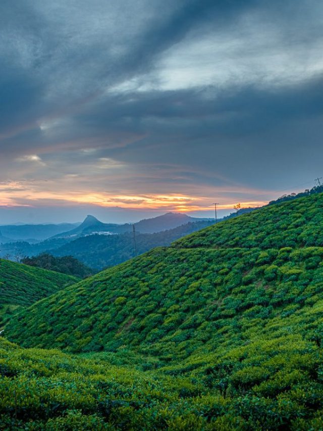 Best Places To Visit In Munnar With Friends