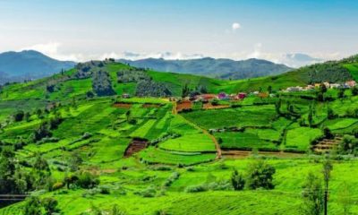 Vagamon: Celebrate This New Year In These Cool Places!