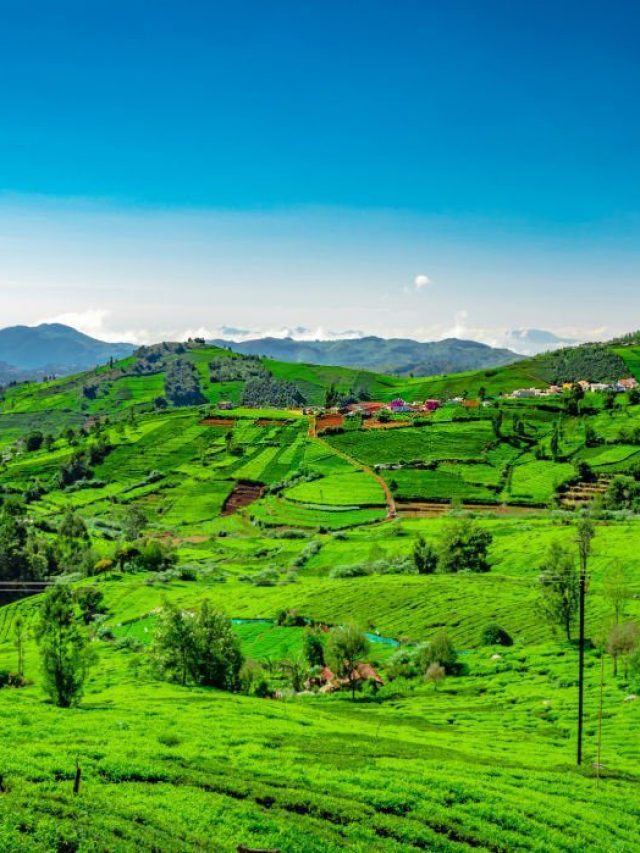 Vagamon: Celebrate This New Year In These Cool Places!