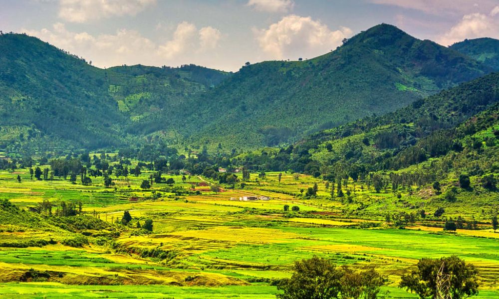 Araku Valley