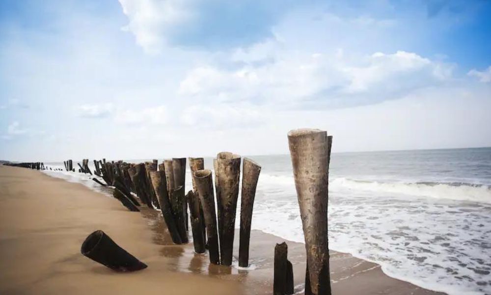 Auroville Beach