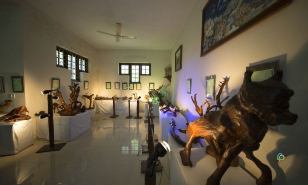 Bay Island Driftwood Museum-Tourist Places in Kottayam