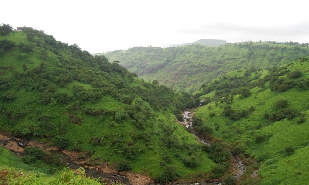 Bhatsa River Valley 