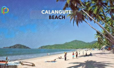 Calangute Beach In Goa Explore The Queen Of Beaches!