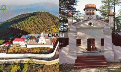 Chail Explore The Lush Greenery Beauty Of Charming Hill Station
