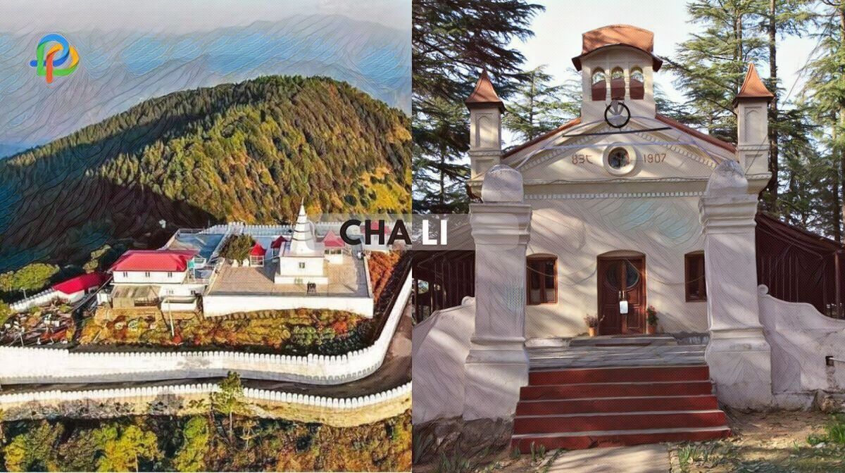 Chail Explore The Lush Greenery Beauty Of Charming Hill Station